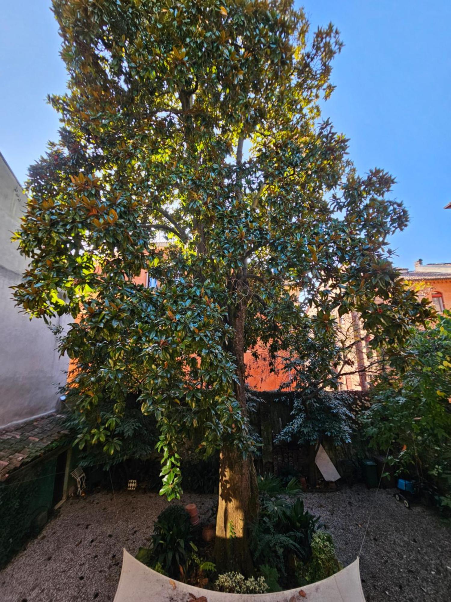 L'Ape Regina Διαμέρισμα Φεράρα Εξωτερικό φωτογραφία